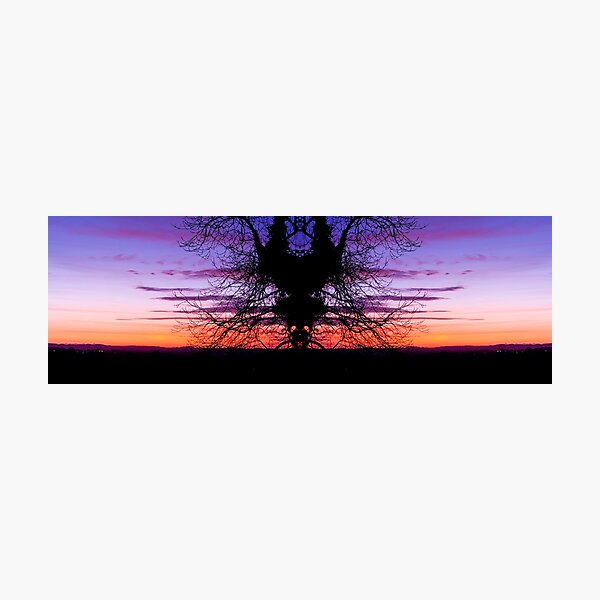 Dear Tree Spirits Photographic Print