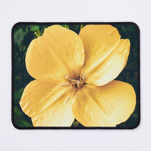 Item preview, Evening Primrose Wild Yellow Bloom designed and sold by Marco Sales.