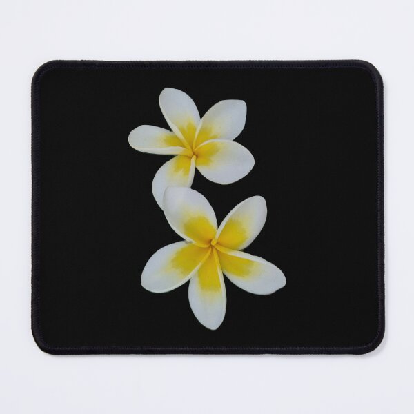 Item preview, Twin frangipani blooms designed and sold by FlossOrFi.