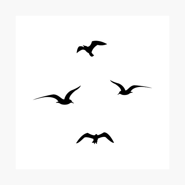 Item preview, Seagulls. Silhouette of flying seagulls. designed and sold by Tanysl.