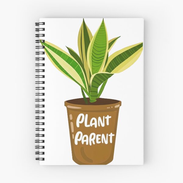 Item preview, Plant parent Snake plant (Dracaena trifasciata) editon designed and sold by KoteleleDelulu.