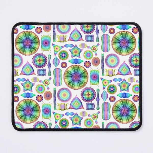Item preview, Ernst Haeckel Rainbow Diatoms designed and sold by aimeewilson.