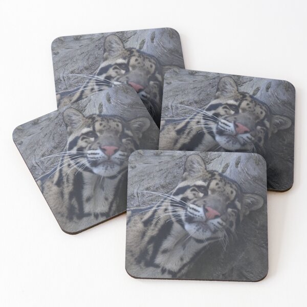 Item preview, Clouded Leopard  designed and sold by Sharon the Zoo Lady Photography .