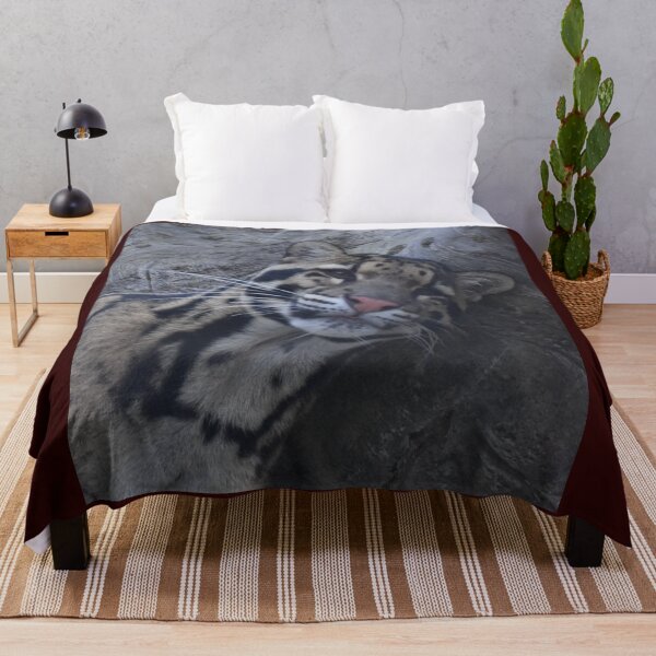 Item preview, Clouded Leopard  designed and sold by Sharon the Zoo Lady Photography .