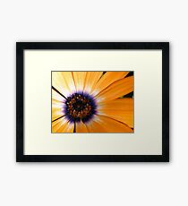 Alluring Framed Print