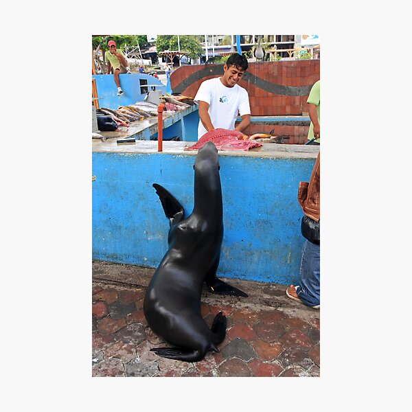Fish Market High Five Photographic Print