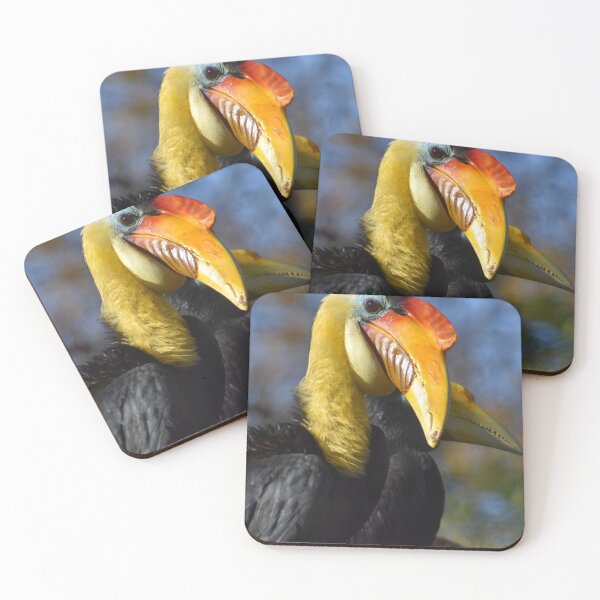 Item preview, Sunda Wrinkled Hornbill  designed and sold by Sharon the Zoo Lady Photography .