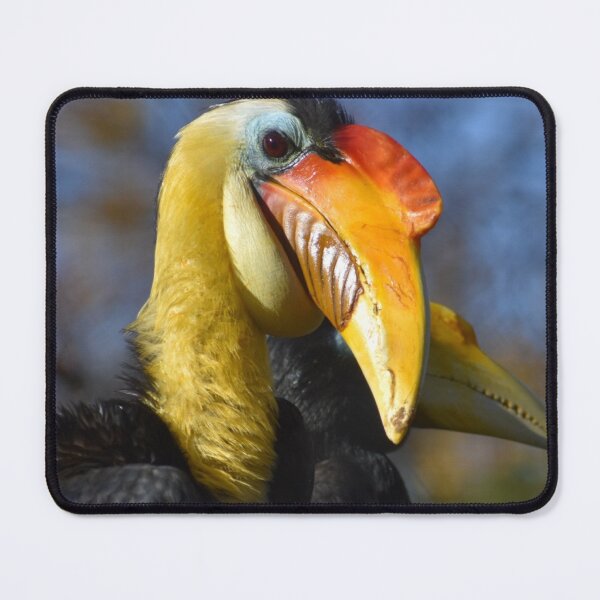 Item preview, Sunda Wrinkled Hornbill  designed and sold by Sharon the Zoo Lady Photography .