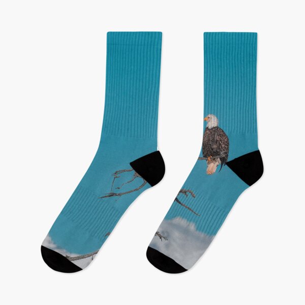 Item preview, Alaskan Bald Eagle Duo - Turquoise Sky designed and sold by AlsknMommaBear2.