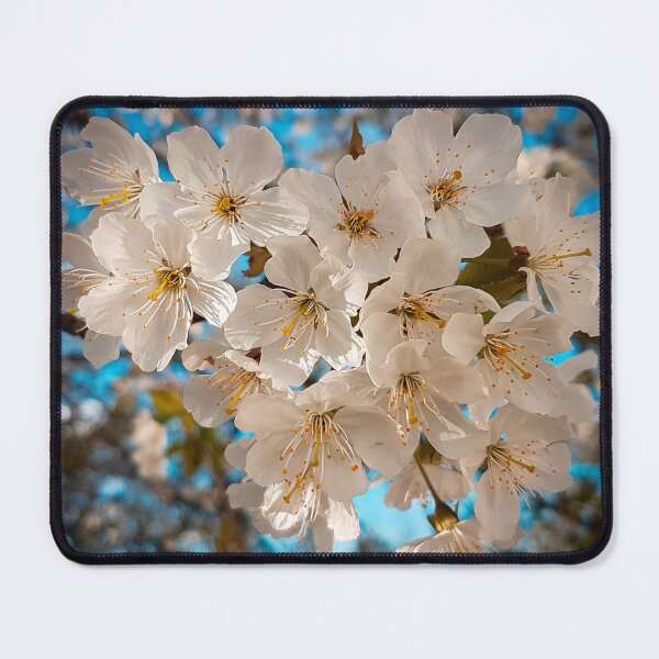 Item preview, Spring Blossom designed and sold by Ewa Miller.