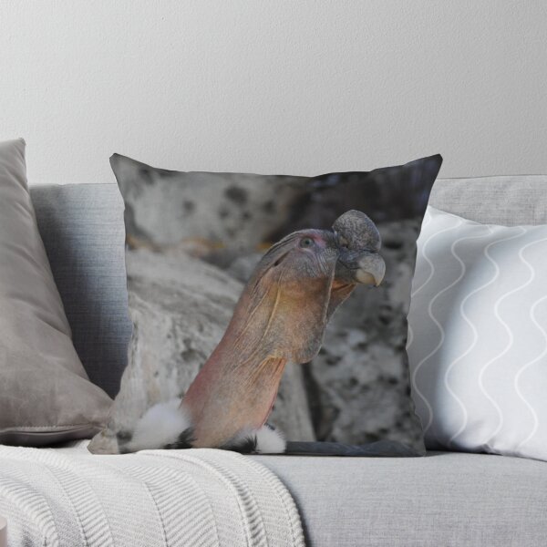 Item preview, Andean Condor  designed and sold by Sharon the Zoo Lady Photography .