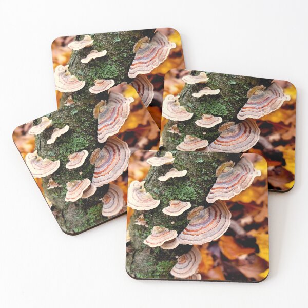 Item preview, Colorful Turkey Tail Mushrooms designed and sold by bjtomiko.
