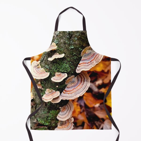 Item preview, Colorful Turkey Tail Mushrooms designed and sold by bjtomiko.