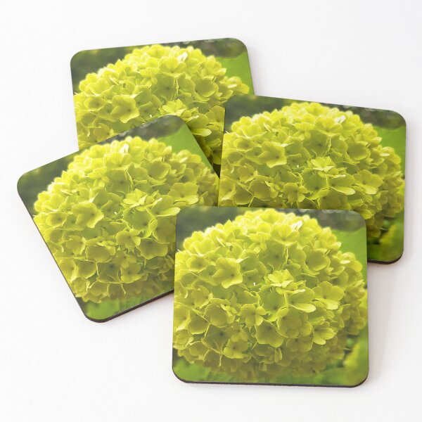Item preview, Viburnum Flower designed and sold by Ewa Miller.