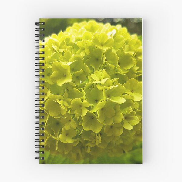 Item preview, Viburnum Flower designed and sold by Ewa Miller.
