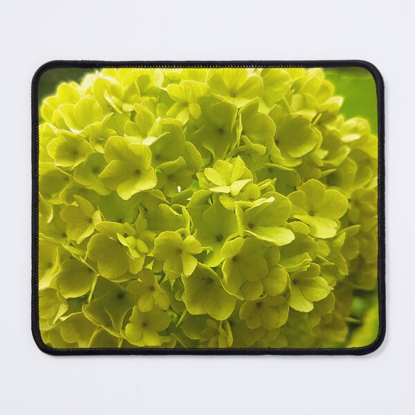 Item preview, Viburnum Flower designed and sold by Ewa Miller.