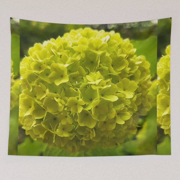 Item preview, Viburnum Flower designed and sold by Ewa Miller.