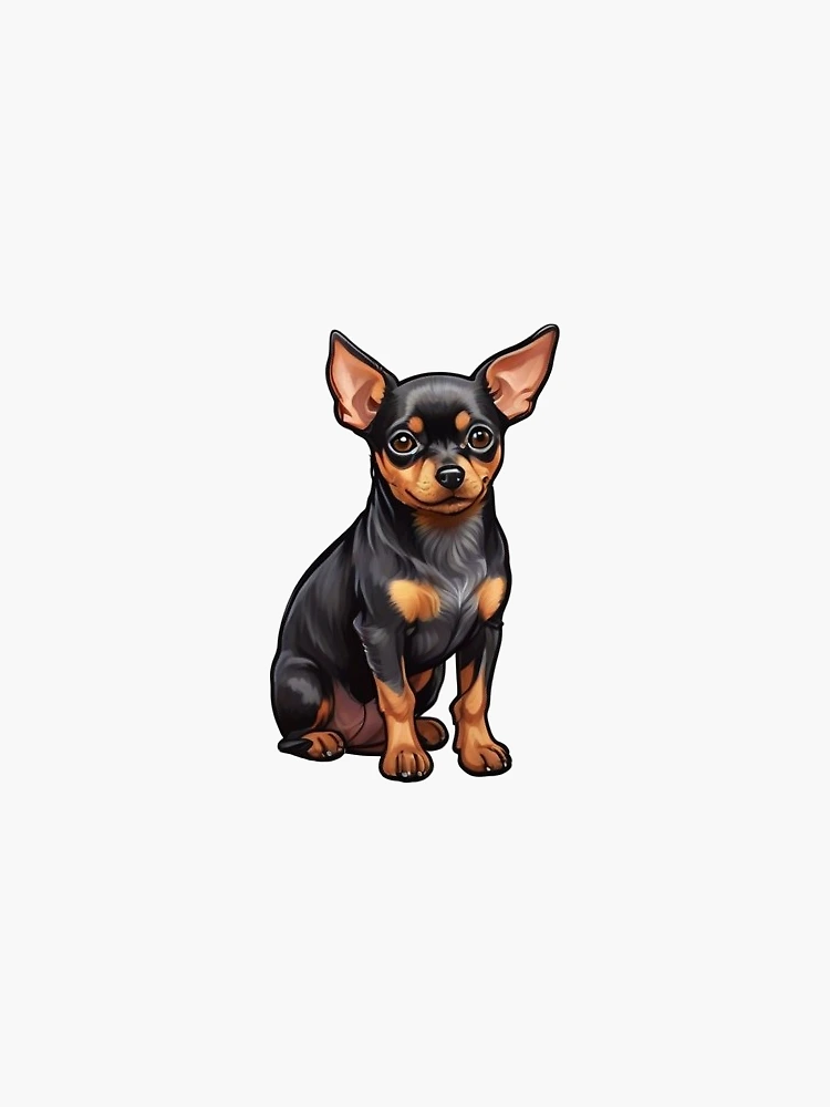 pinscher miniatura