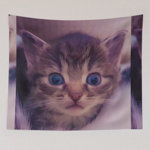 Item preview, Gray Kitten designed and sold by Ewa Miller.