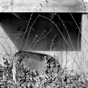 Artwork thumbnail, Backyard by Rseide