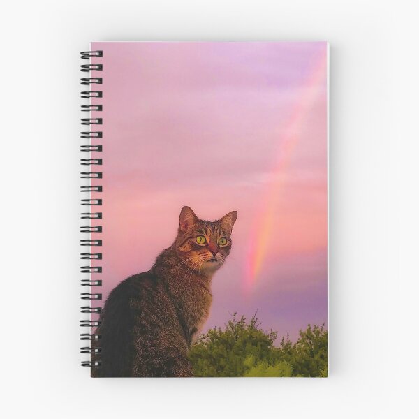 Item preview, Cat EMI and Rainbow designed and sold by Ewa Miller.