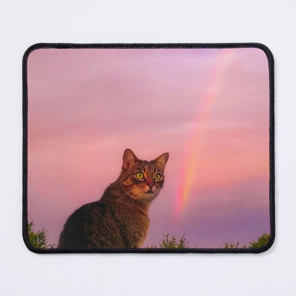 Item preview, Cat EMI and Rainbow designed and sold by Ewa Miller.
