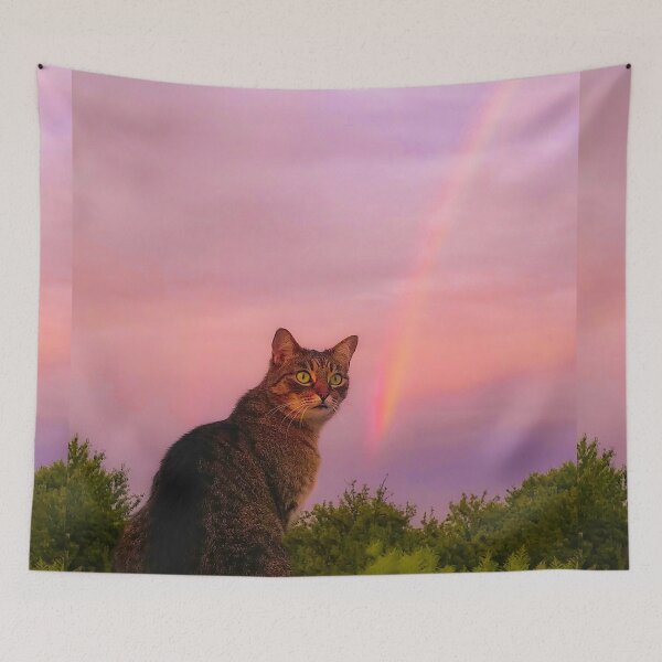 Item preview, Cat EMI and Rainbow designed and sold by Ewa Miller.