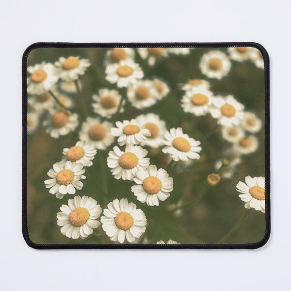 Item preview, Fresh Faces designed and sold by ElderIslesPress.