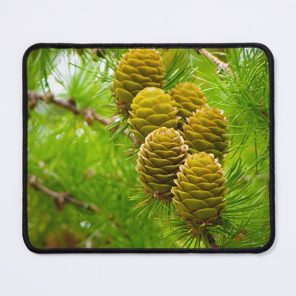 Item preview, Green Cones designed and sold by Ewa Miller.