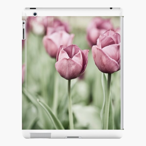 Tulip Garden iPad Snap Case