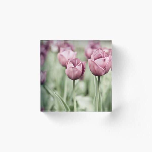 Tulip Garden Acrylic Block