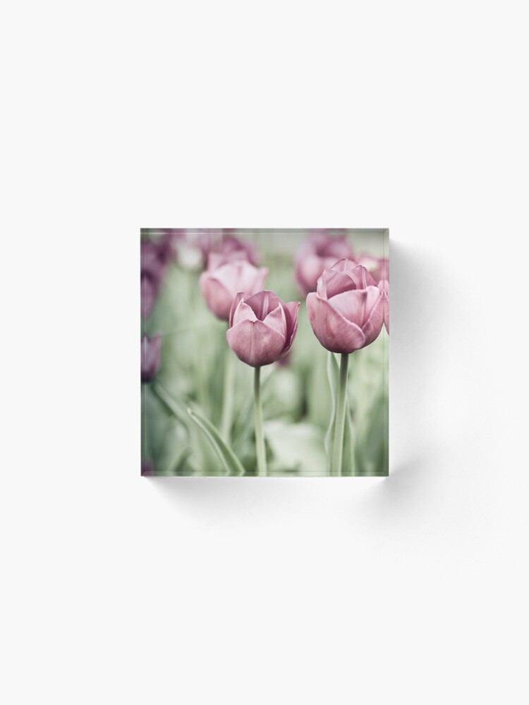 Alternate view of Tulip Garden Acrylic Block