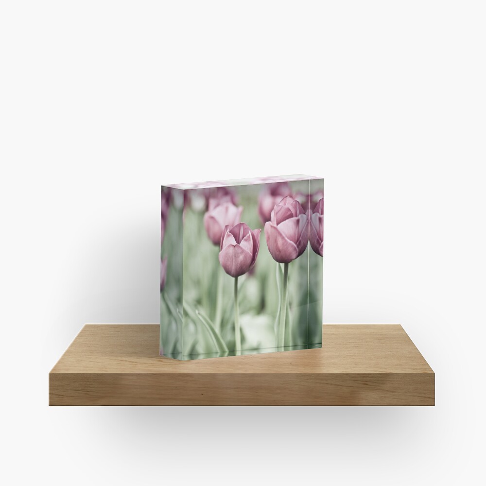 Tulip Garden Acrylic Block