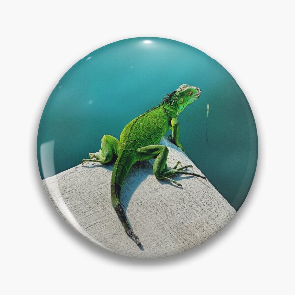 Item preview, Iguana designed and sold by AnnMee.