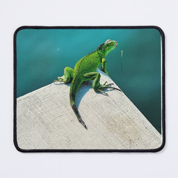Item preview, Iguana designed and sold by AnnMee.