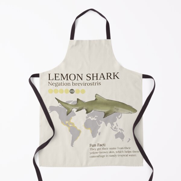 Item preview, Lemon Shark Infographic designed and sold by BasicArtChick.