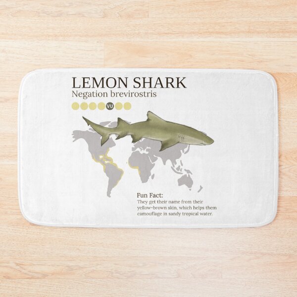 Item preview, Lemon Shark Infographic designed and sold by BasicArtChick.