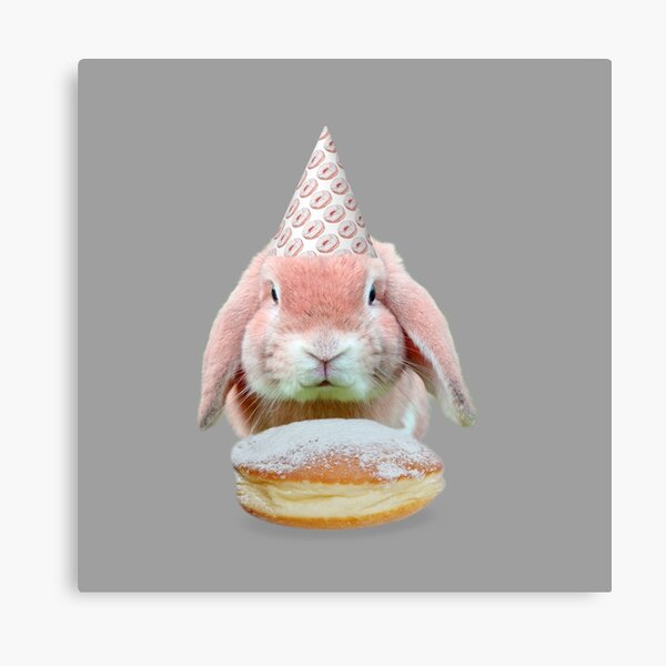Rabbit Donut Party by Alice Monber Canvas Print