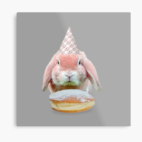 Rabbit Donut Party by Alice Monber Metal Print