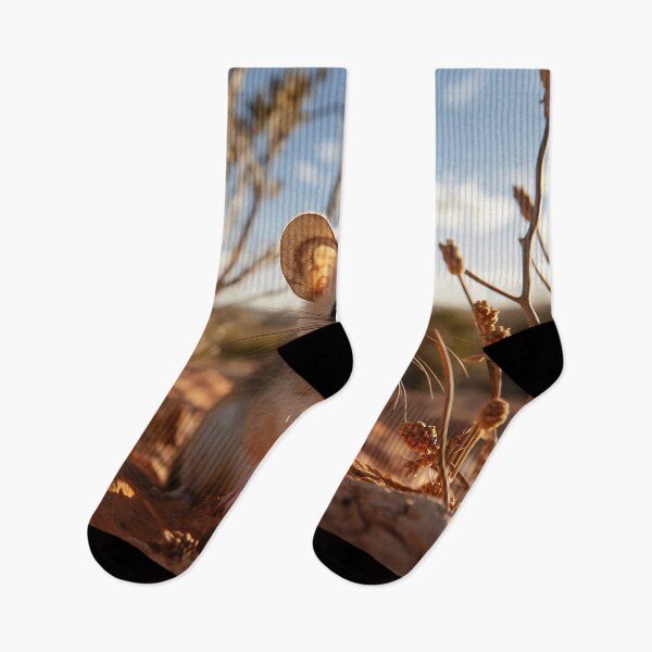 Item preview, Beyond the Eucalyptus: Long-Tailed Dunnart designed and sold by Brendon987.
