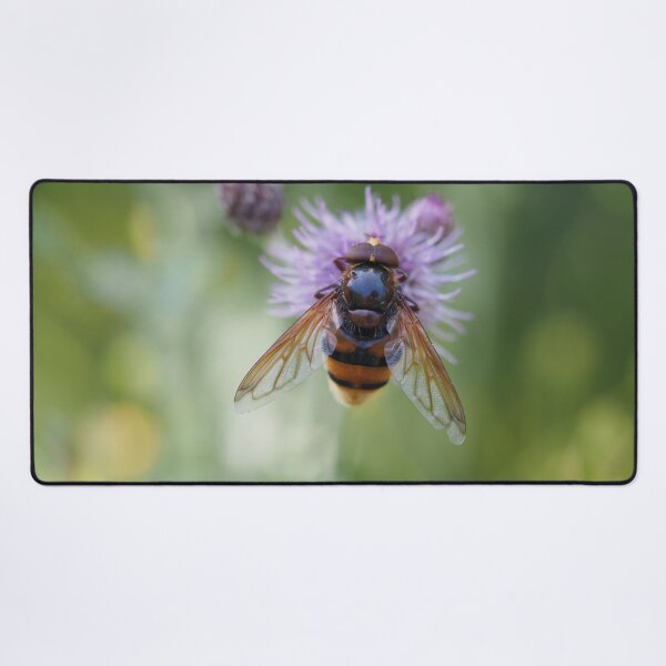 Item preview, Big hoverfly on purple flower designed and sold by Syr'photographies.