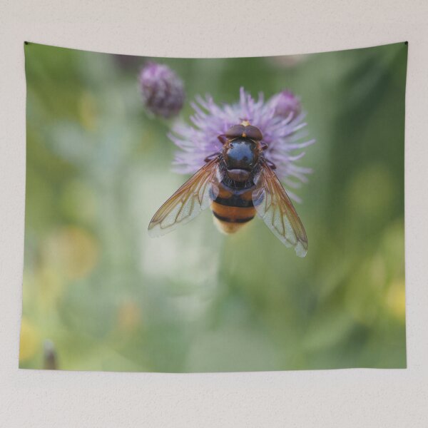 Item preview, Big hoverfly on purple flower designed and sold by Syr'photographies.