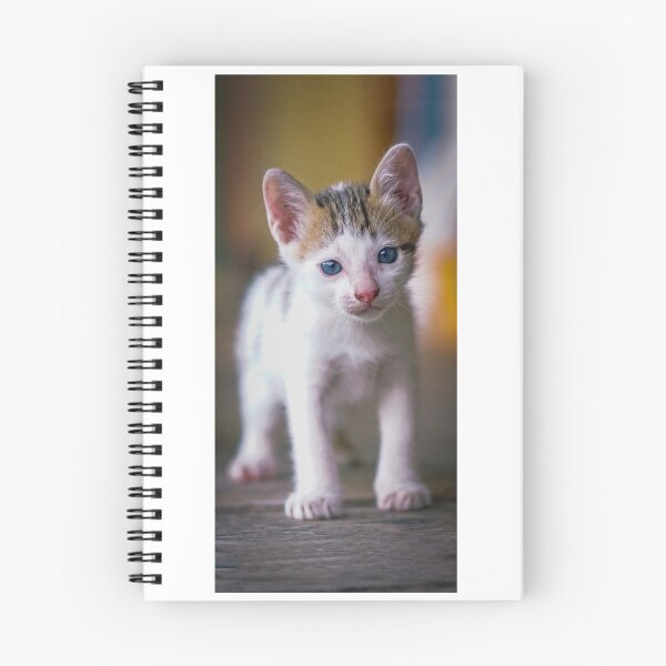 Item preview, Little kitten  V designed and sold by Visual Arts Sławomir Grzanek.