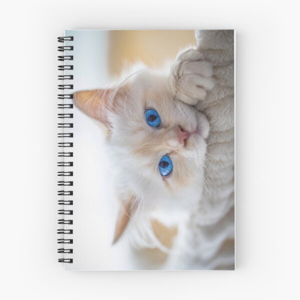 Item preview, Little kitten VII designed and sold by Visual Arts Sławomir Grzanek.
