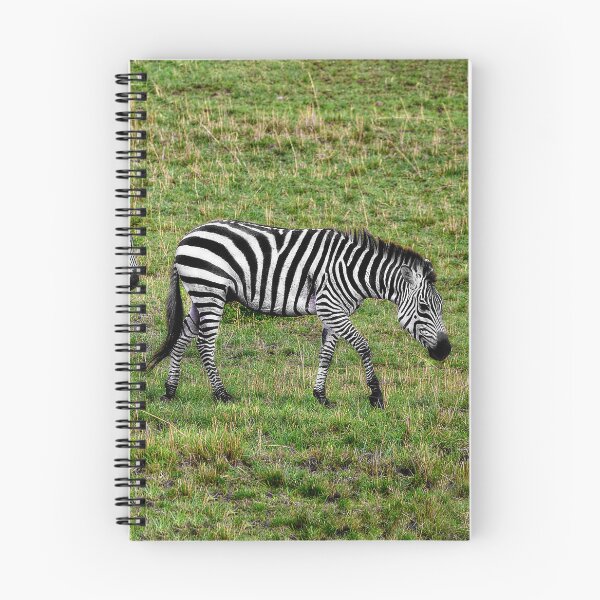 Item preview, A Pair of Zebras designed and sold by Kay Brewer.