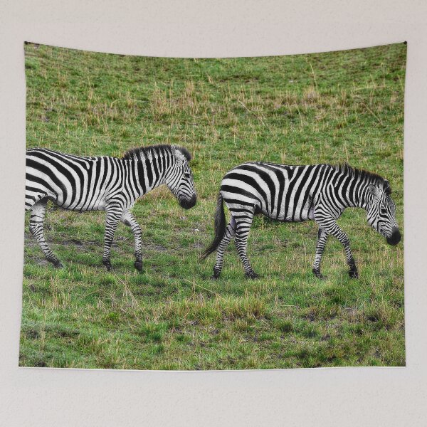 Item preview, A Pair of Zebras designed and sold by Kay Brewer.