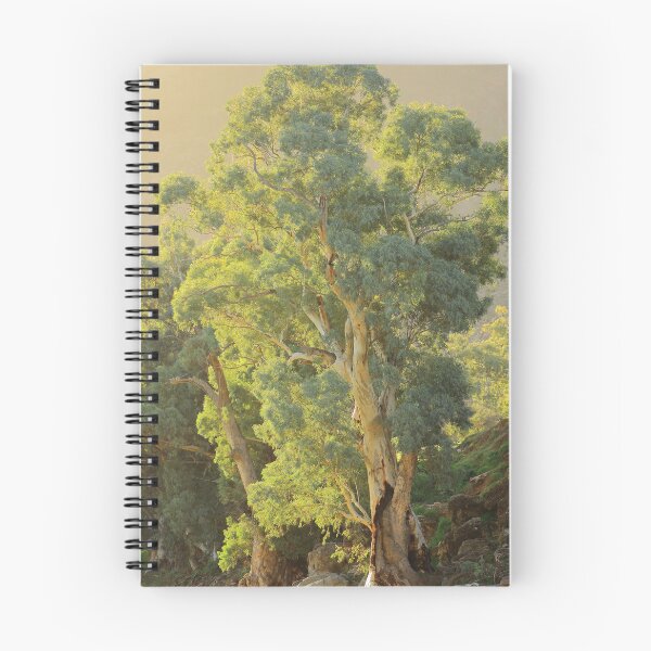 Item preview, Afternoon light at Wonoka Station designed and sold by phillip wise.