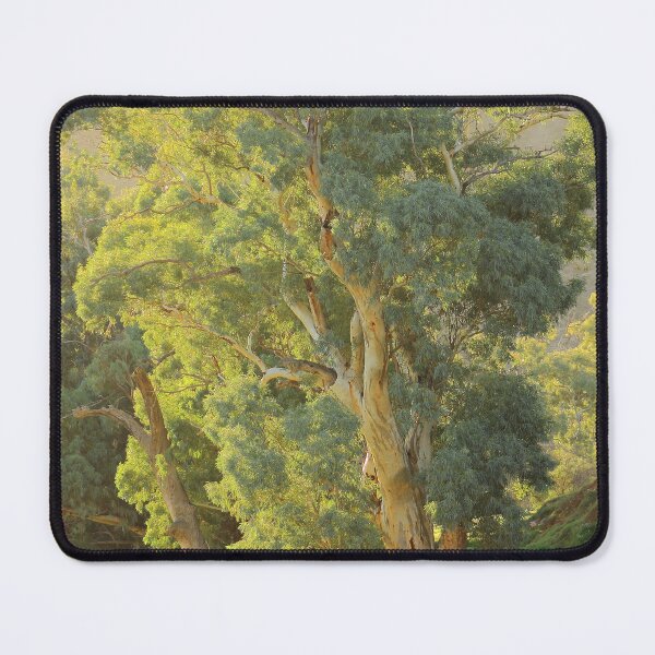 Item preview, Afternoon light at Wonoka Station designed and sold by phillip wise.