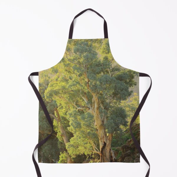 Item preview, Afternoon light at Wonoka Station designed and sold by phillip wise.