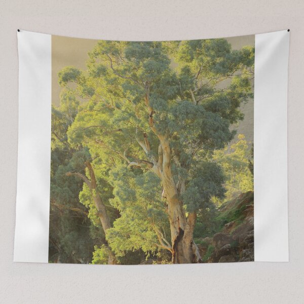 Item preview, Afternoon light at Wonoka Station designed and sold by phillip wise.